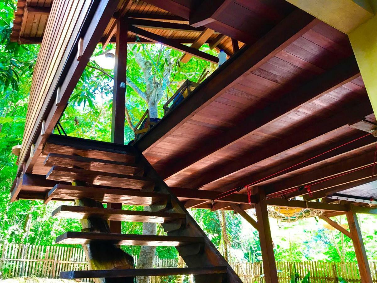 Casa Da Arvore, Sonho Na Amazonia, 2Min A Pe Da Praia アウテル・ド・ション エクステリア 写真