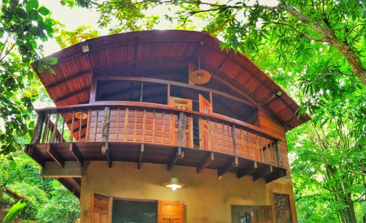 Casa Da Arvore, Sonho Na Amazonia, 2Min A Pe Da Praia アウテル・ド・ション エクステリア 写真