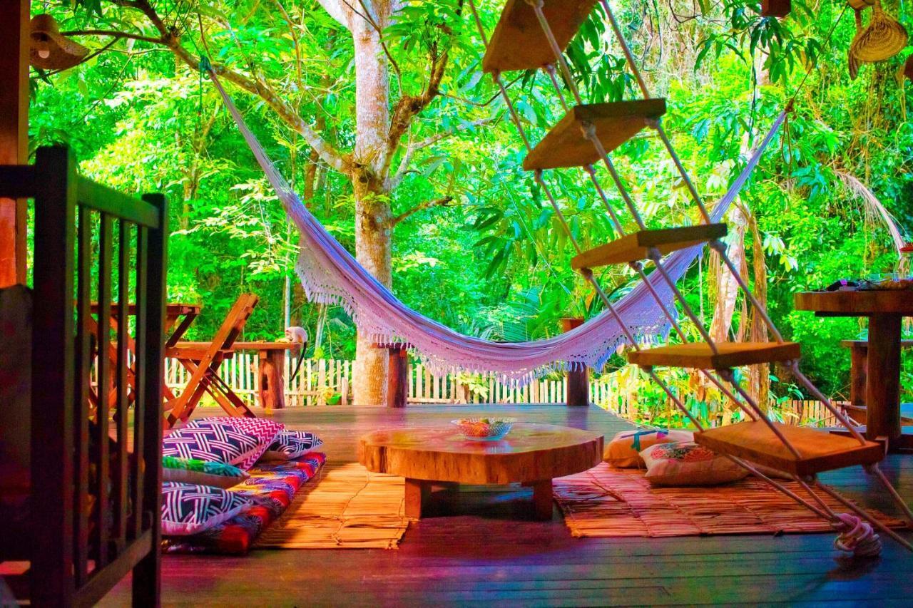 Casa Da Arvore, Sonho Na Amazonia, 2Min A Pe Da Praia アウテル・ド・ション エクステリア 写真
