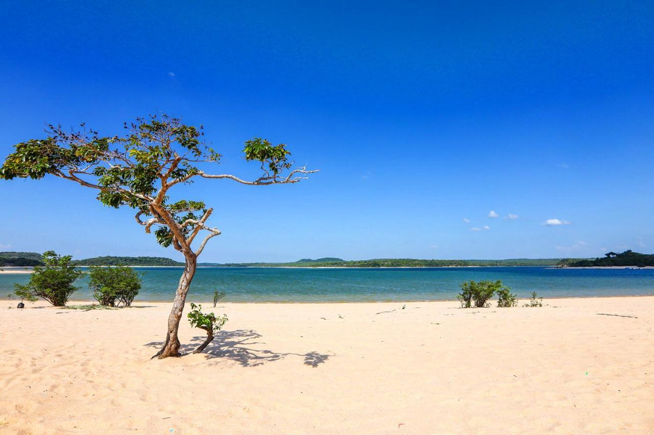 Casa Da Arvore, Sonho Na Amazonia, 2Min A Pe Da Praia アウテル・ド・ション エクステリア 写真